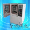 100L恒溫恒濕箱/恒溫恒濕箱實驗室專用