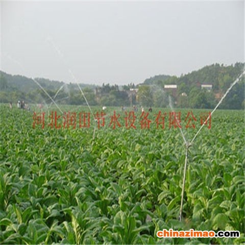噴頭2 (16)