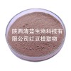紅豆的功效與作用  紅豆粉  食品級