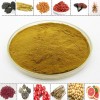 葛根提取物 葛根素 天然葛根粉 公斤包郵