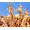 供應(yīng) 人參皂苷Rb1 橙皮苷 新橙皮苷 鹽酸巴馬汀