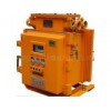 ZBZ-4.0/6.0/8.0/10M隔爆型照明信號綜保
