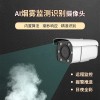 煙霧智能識(shí)別報(bào)警攝像頭 消防自動(dòng)監(jiān)測(cè)預(yù)警系統(tǒng)攝像機(jī)